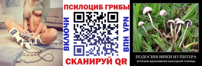 Псилоцибиновые грибы Psilocybine cubensis  купить закладку  Татарск 